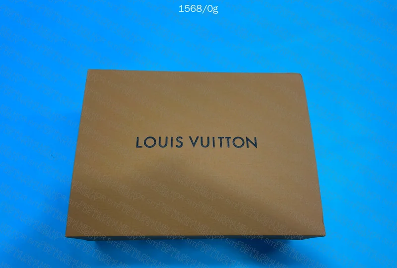Louis Vuitton Bag 2