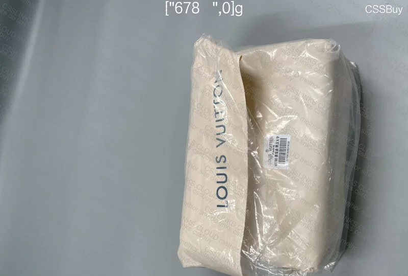 Louis Vuitton Bag (LV)