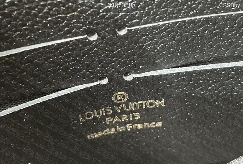 Louis Vuitton Bag, Good Quality? 5