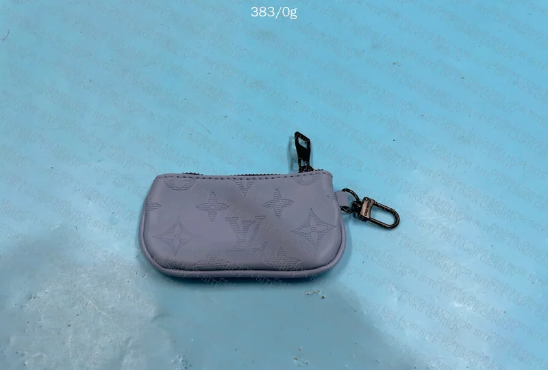 Blue LV Bag 7