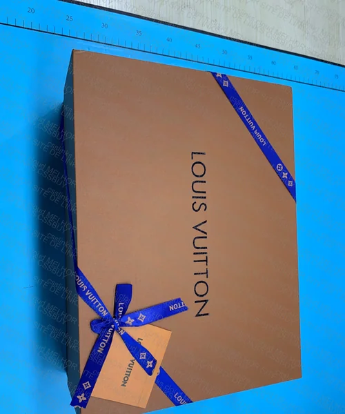 LV Carryall Vibe Bag