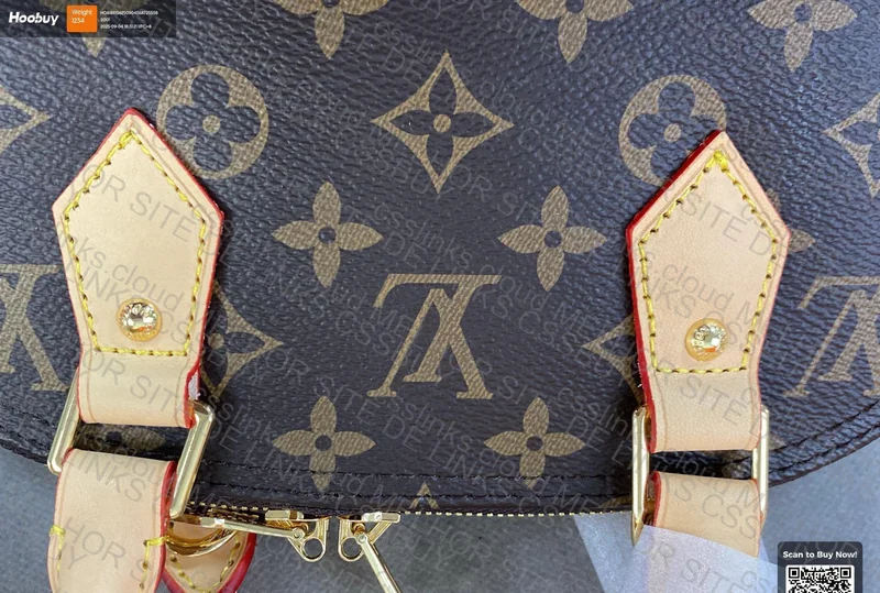 LV Bag for Woman 5