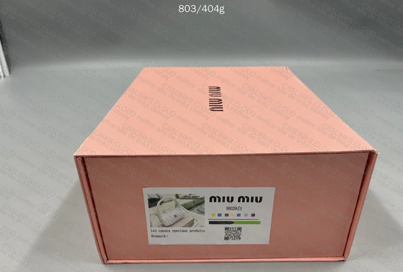 Miu Miu Bag 10