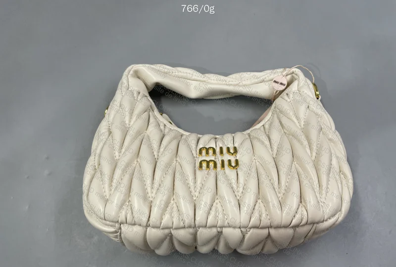 Miu Miu Bag 2