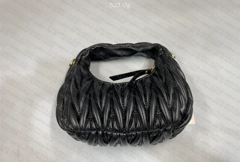 Miu Miu Bag 5