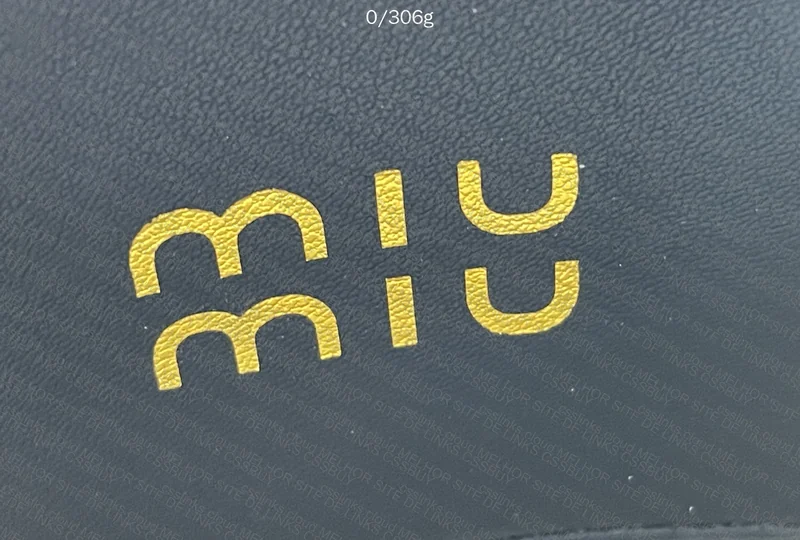 Miu Miu Bag 5