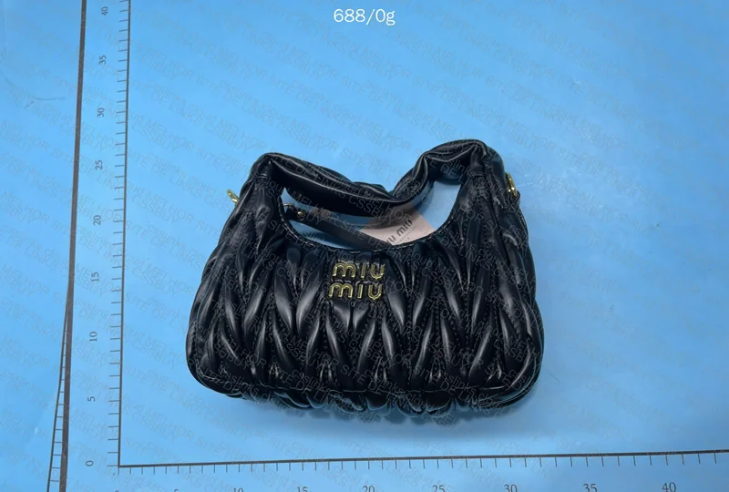 Miu Miu Bag with Box and Cloth 2