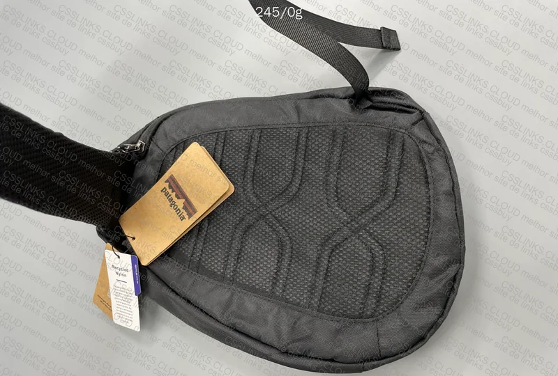 Patagonia Bag 2