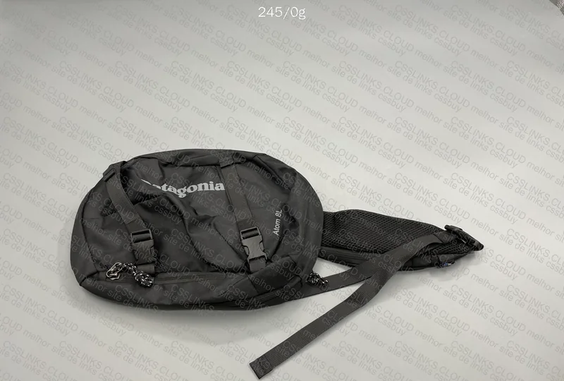Patagonia Bag 4