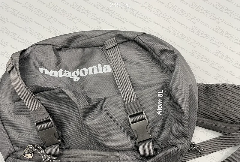 Patagonia Bag 5