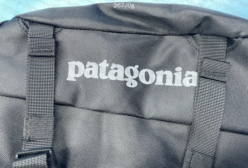 Patagonia Bag 2