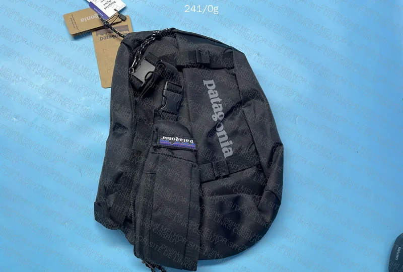Patagonia Bag 2