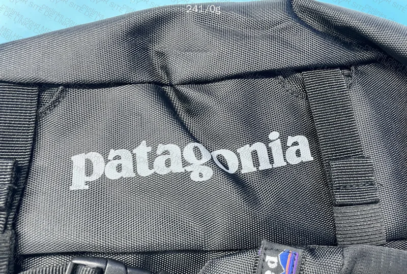 Patagonia Bag 3