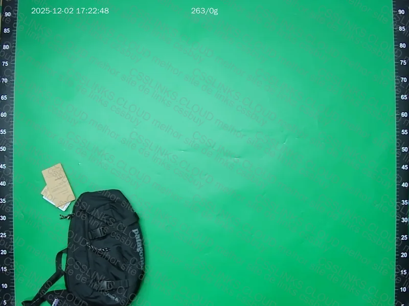 Patagonia 8L Bag 2