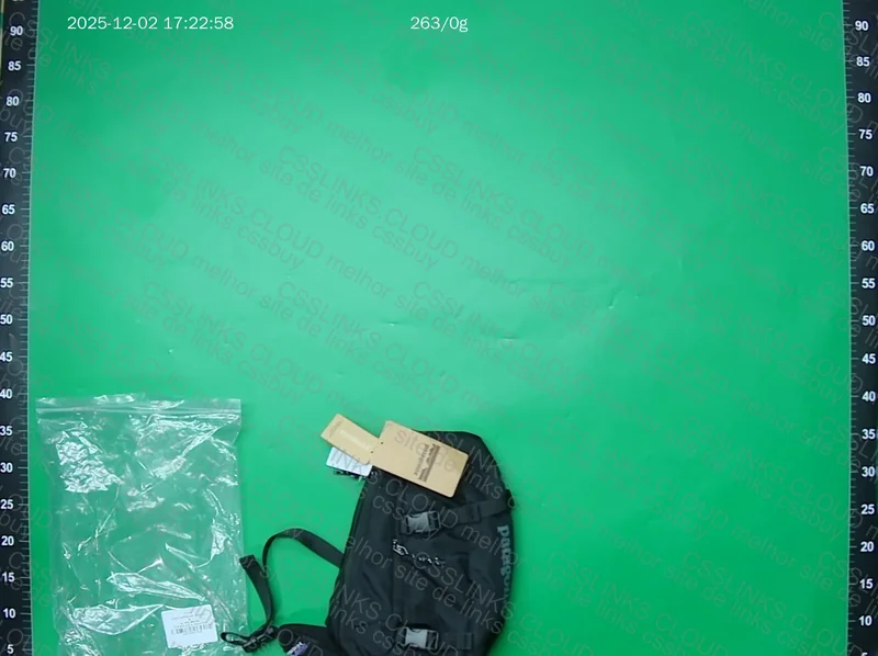 Patagonia 8L Bag 3