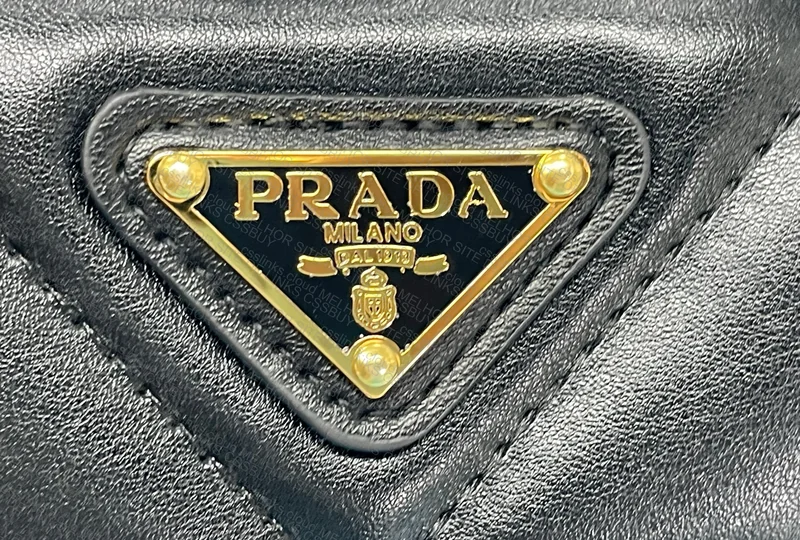 Found Prada Bag 3