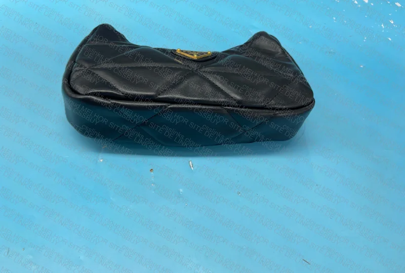 Found Prada Bag 4