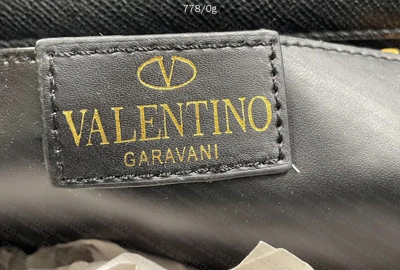 Valentino Bag 5