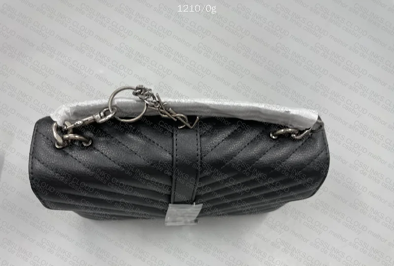 Yves Saint Laurent Bag for Harpy 3