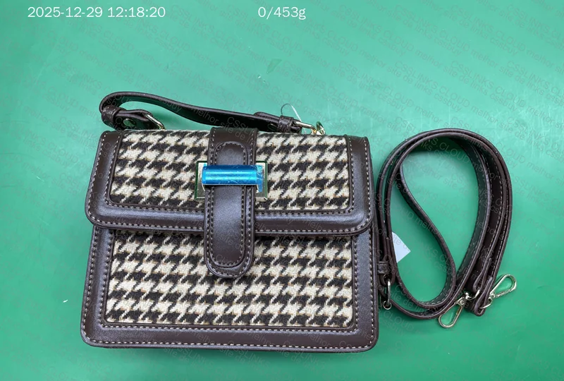 Zara Bag and Another