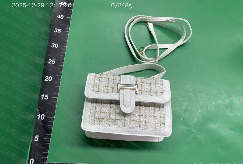Zara Bag and Another 2