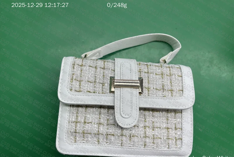 Zara Bag and Another 3