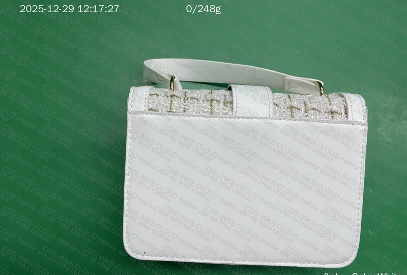 Zara Bag and Another 4