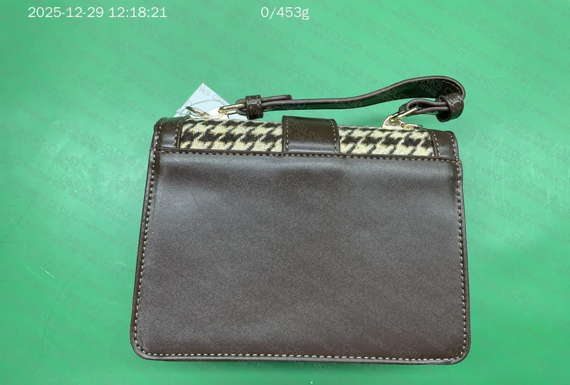 Zara Bag and Another 6