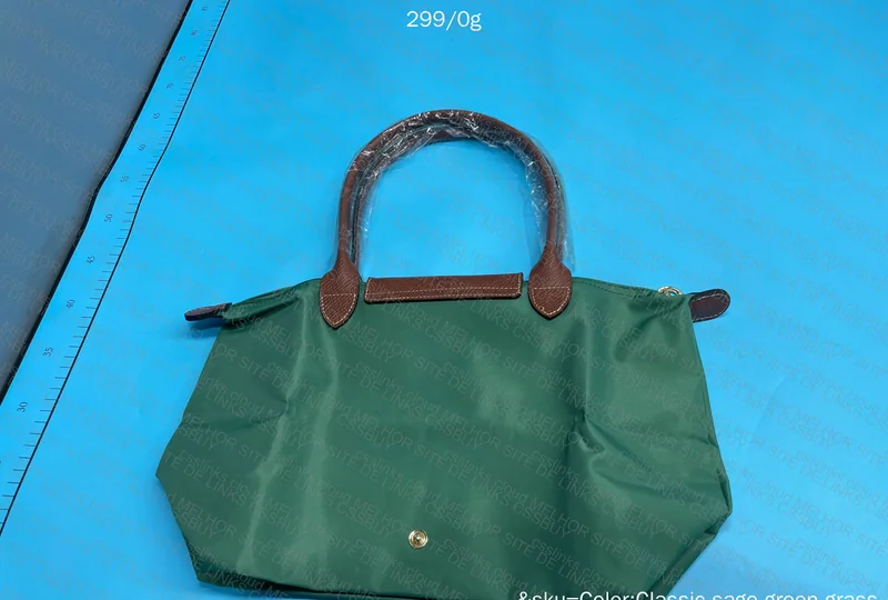 Longchamp Bags 5