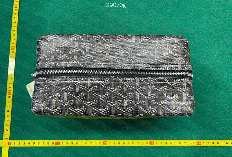 Goyard Small Bag 7