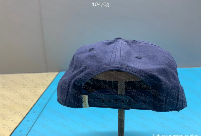 Aimé Leon Dore Cap 2