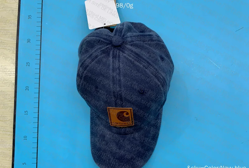 Carhartt Cap 2