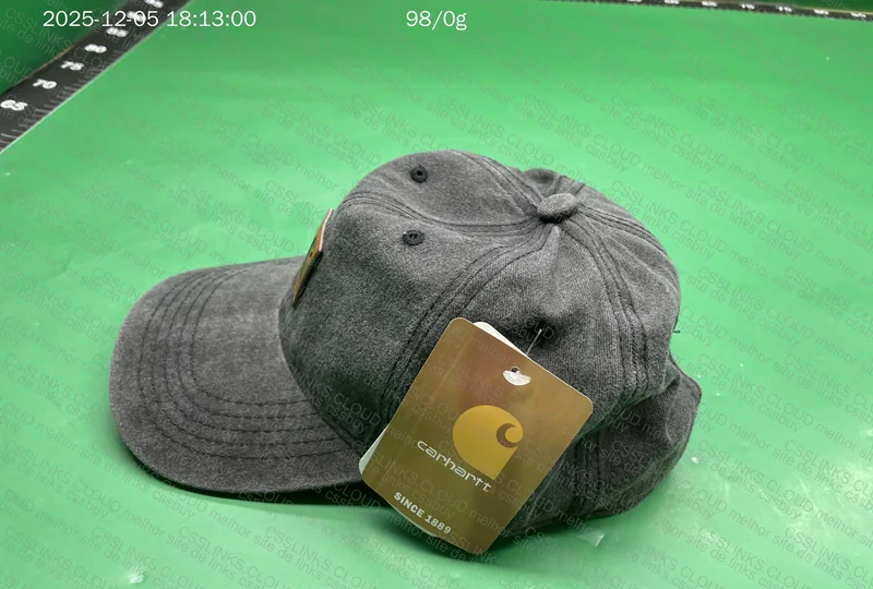 Carhartt Cap 3