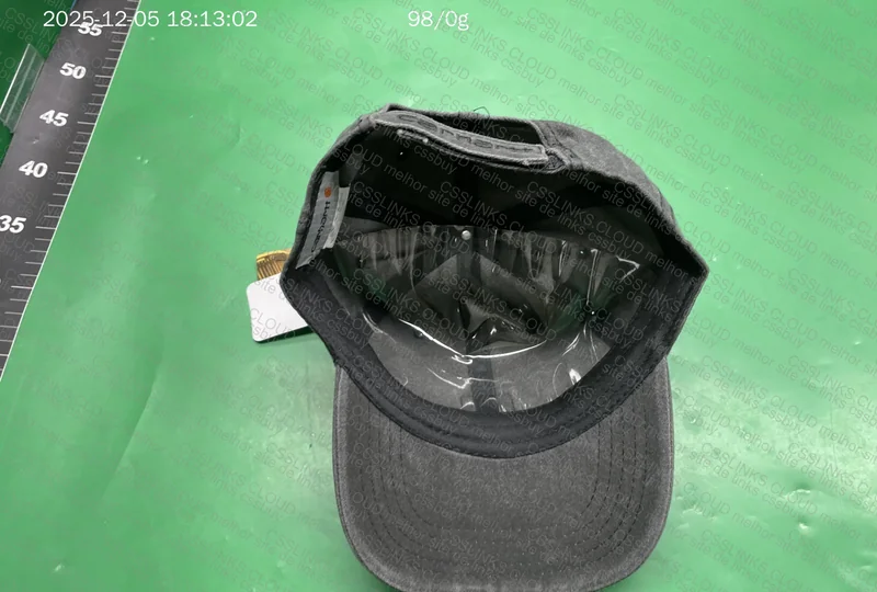 Carhartt Cap 6
