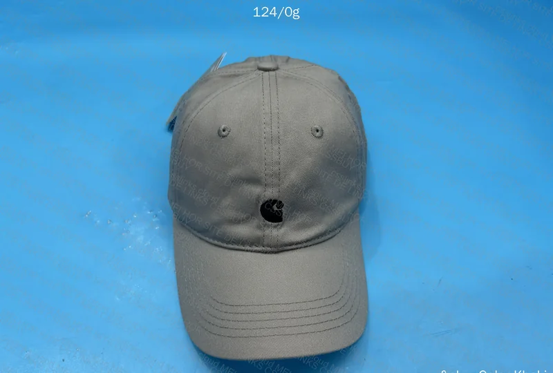 Carhartt Cap - GL?! 3