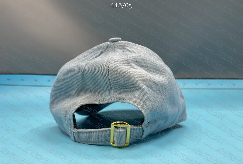 Celine Blue Cap 6