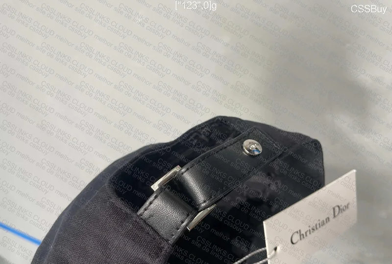 Dior x Earl Cap 3