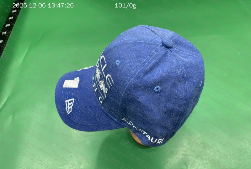F1 Redbull Racing São Paulo 2025 (Max Verstappen) Cap 3