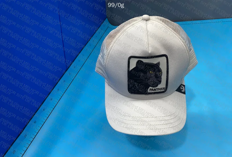 Goorin Bros Cap 2