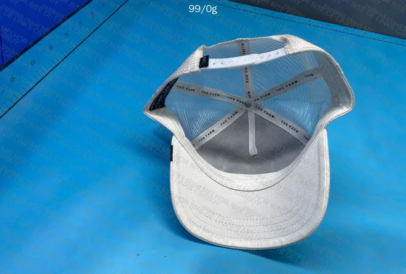 Goorin Bros Cap 3