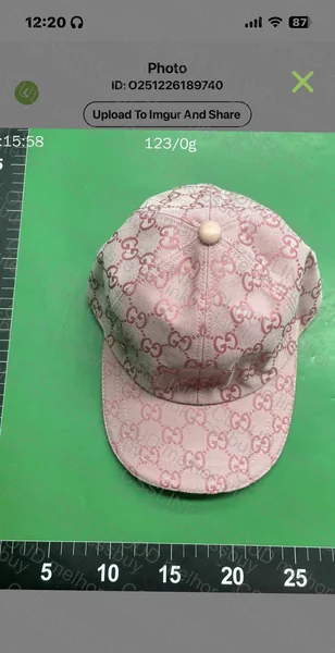 Gucci Pink Cap