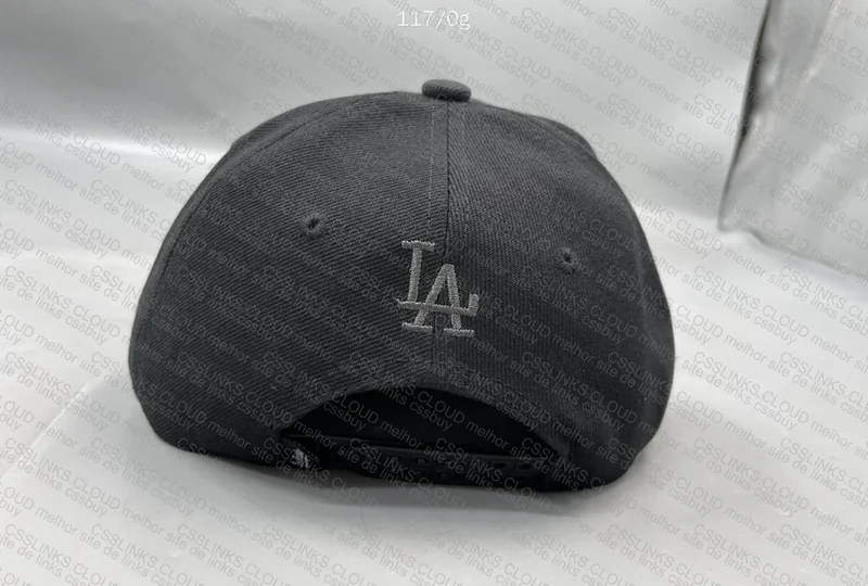 LA Basic Cap 3