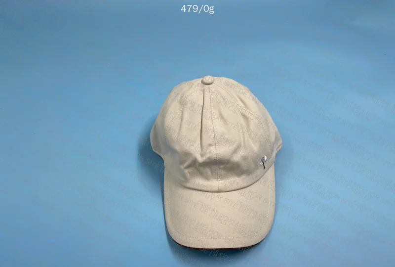 Loro Piana Cap 2