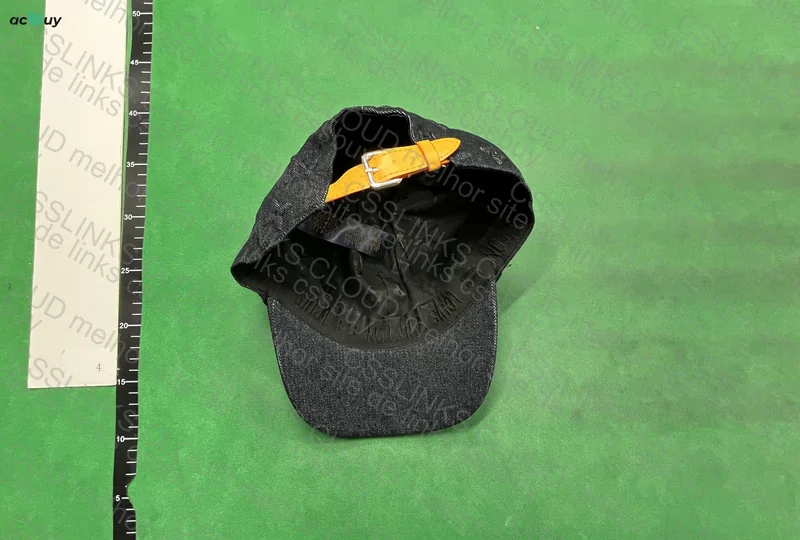 Louis Vuitton Cap