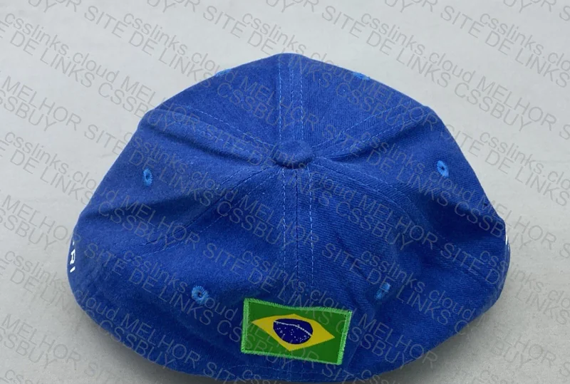 Max Verstappen RBR Brazil F1 2025 Cap 2