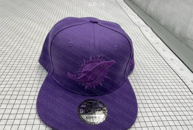 Miami Dolphins Cap 10
