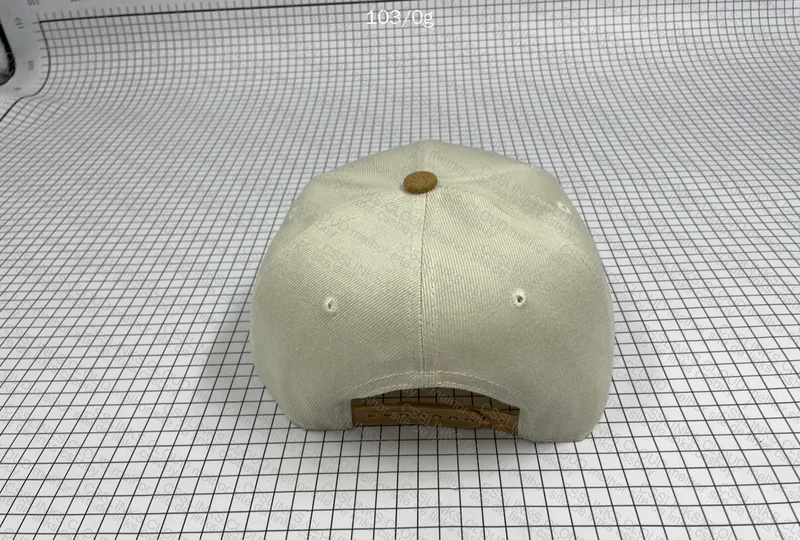 Miami Dolphins Cap 2