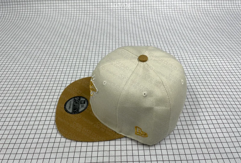 Miami Dolphins Cap 4