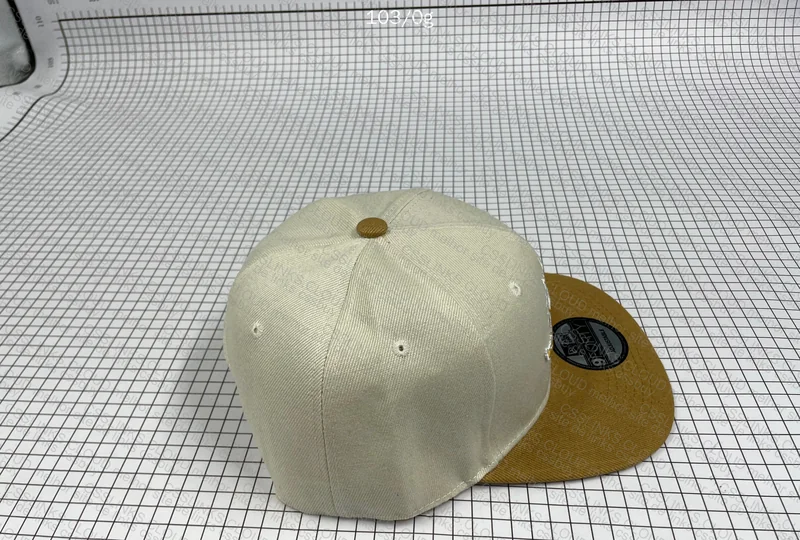 Miami Dolphins Cap 5