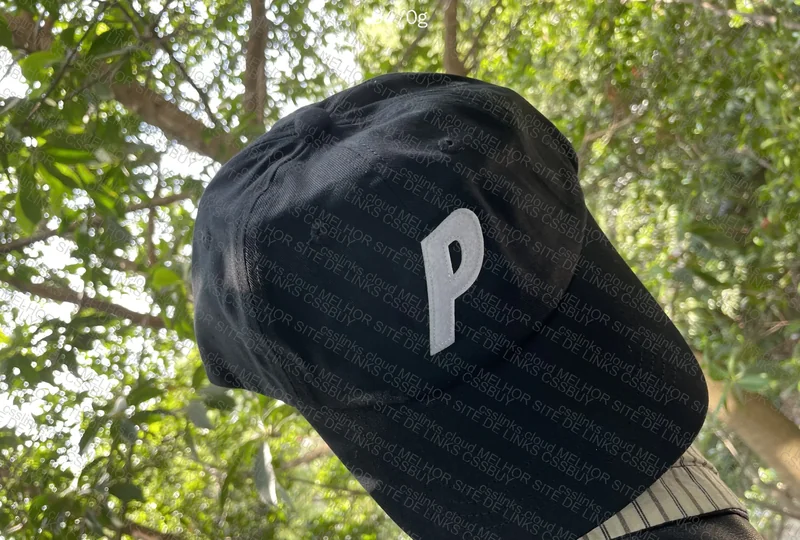 Palace 6 Panel Cap